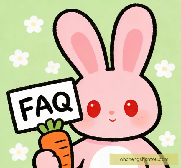 常见问题